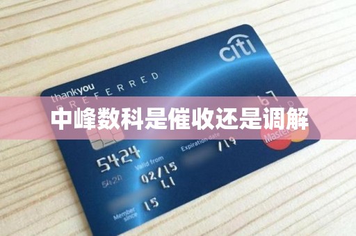 中峰数科是催收还是调解