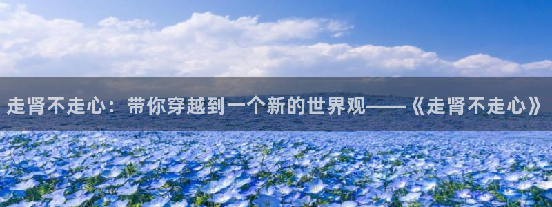 age樱花动漫：走肾不走心：带你穿越到一个新的世界观——《走肾不走心》