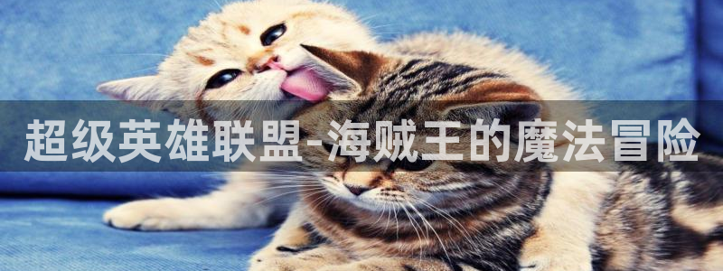 age动漫官网樱花动漫：超级英雄联盟-海贼王的魔法冒险