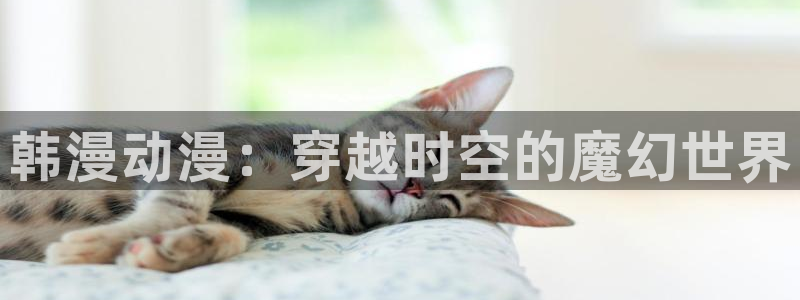 age动漫网官网入口：韩漫动漫：穿越时空的魔幻世界