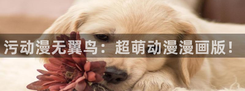 age动漫网上看：污动漫无翼鸟：超萌动漫漫画版！