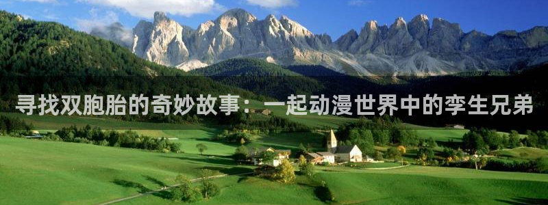 age动漫网上看：寻找双胞胎的奇妙故事：一起动漫世界中的孪生兄弟