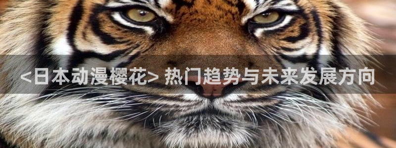 kakaopage韩漫官网：<日本动漫樱花> 热门趋势与未来发展方向