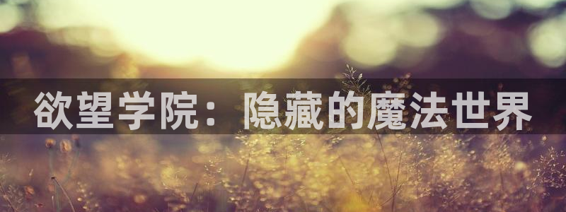 在线动画动漫下载age动漫：欲望学院：隐藏的魔法世界