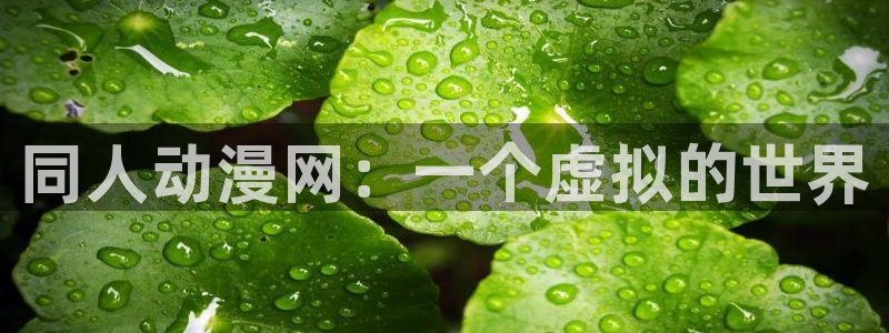 age动漫网下载：同人动漫网：一个虚拟的世界