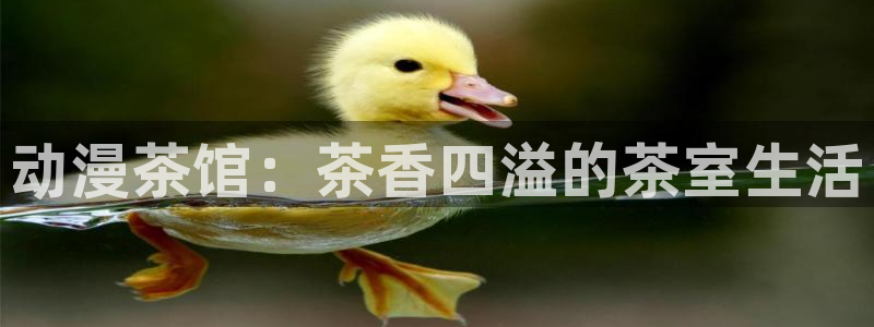 age动漫官网入口老版本