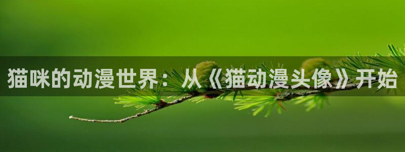 age动漫官网版入口：猫咪的动漫世界：从《猫动漫头像》开始
