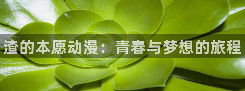 age动漫官网在线入口：渣的本愿动漫：青春与梦想的旅程