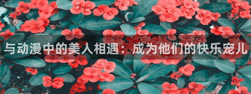 backstage韩漫免费观看：与动漫中的美人相遇：成为他们的快乐宠儿