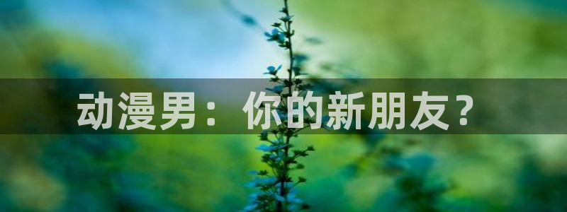 age动漫官网入口老版本：动漫男：你的新朋友？