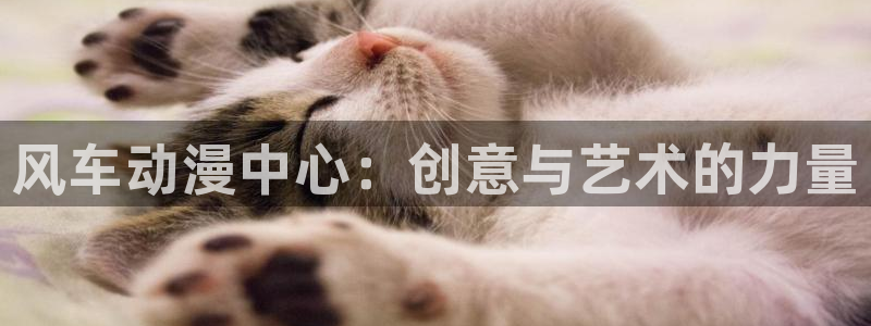 在线动画动漫下载age动漫：风车动漫中心：创意与艺术的力量