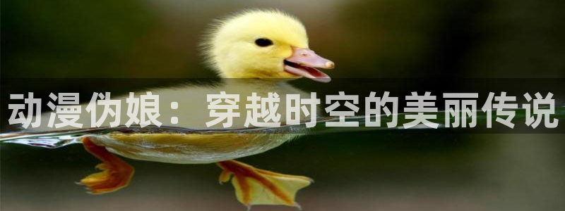 stagenehind韩漫免费观看：动漫伪娘：穿越时空的美丽传说