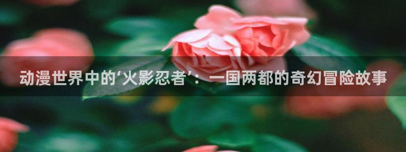 age专注动漫的门户网站：动漫世界中的‘火影忍者’：一国两都的奇幻冒险故事