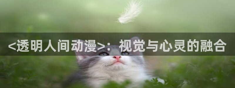 age动漫网上看：<透明人间动漫>：视觉与心灵的融合